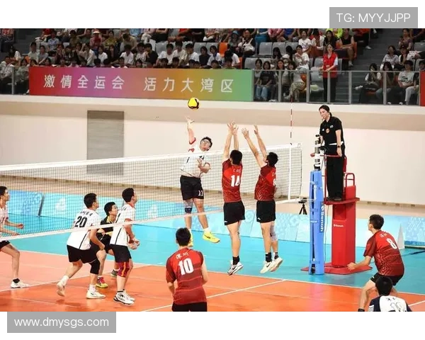 武汉排球队的节奏起伏分析与未来发展展望